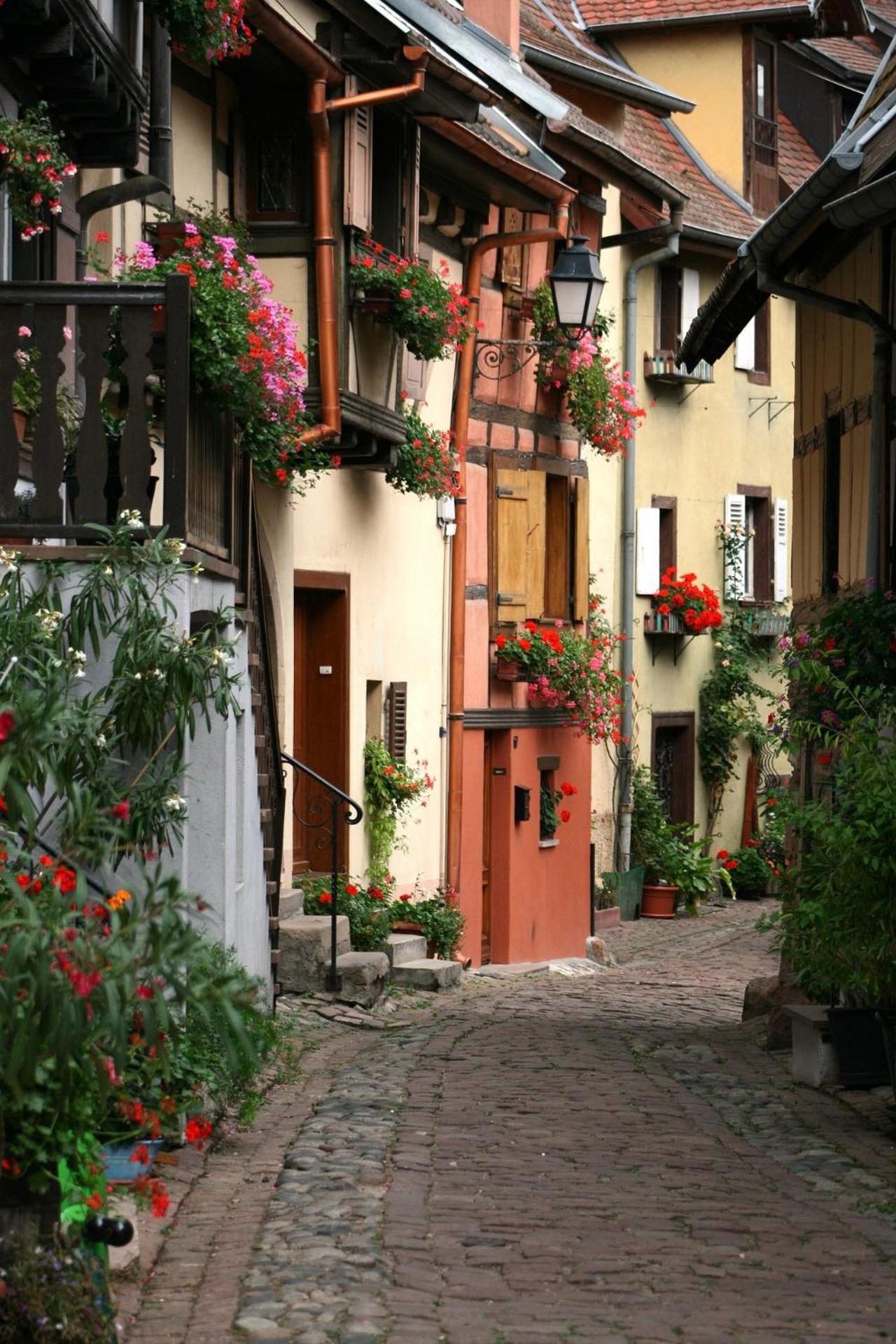 Gite Traditionnel Au Centre Historique D'Eguisheim Bagian luar foto